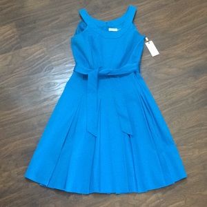 Calvin Klein Pleated Dress sz 10